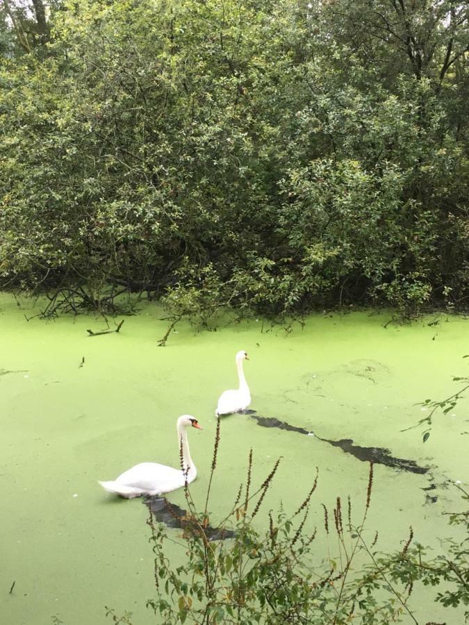 Voel Je Thuis 兹沃勒 外观 照片